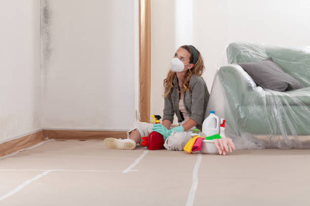 Reliable Mold Remediation contractor in Circle Pines, MN by WQB Mold Removal